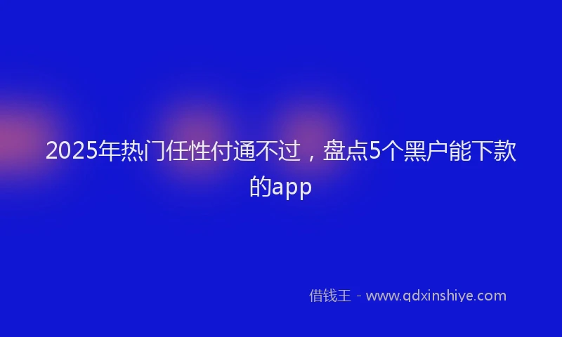 2025年热门任性付通不过，盘点5个黑户能下款的app