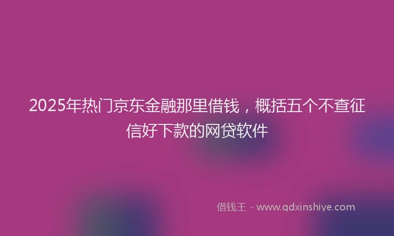 2025年热门京东金融那里借钱，概括五个不查征信好下款的网贷软件