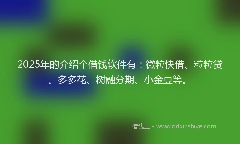2025年的介绍个借钱软件有：微粒快借、粒粒贷、多多花、树融分期、小金豆等。