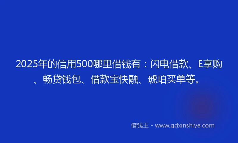 2025年的信用500哪里借钱有：闪电借款、E享购、畅贷钱包、借款宝快融、琥珀买单等。