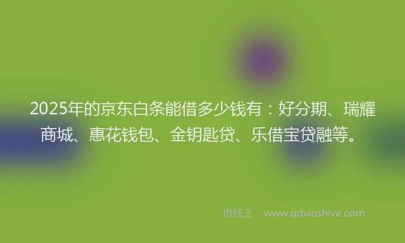 2025年的京东白条能借多少钱有：好分期、瑞耀商城、惠花钱包、金钥匙贷、乐借宝贷融等。