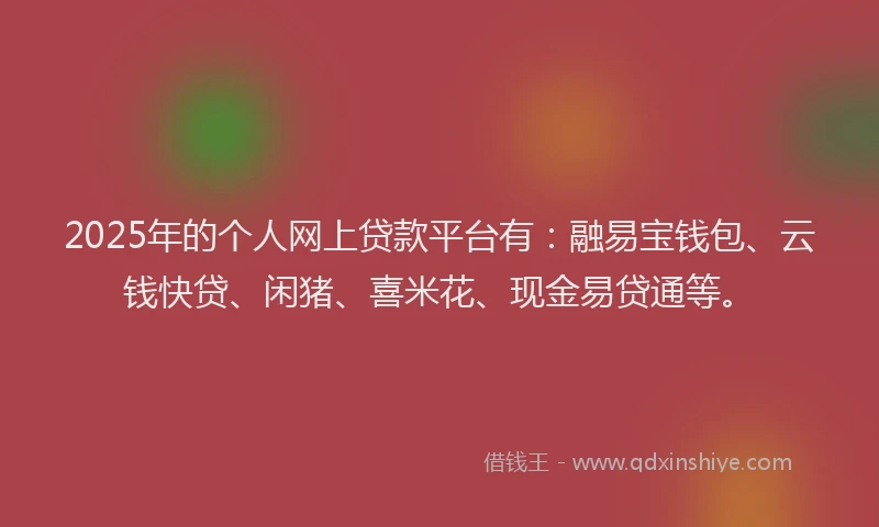 2025年的个人网上贷款平台有：融易宝钱包、云钱快贷、闲猪、喜米花、现金易贷通等。