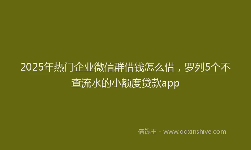 2025年热门企业微信群借钱怎么借，罗列5个不查流水的小额度贷款app