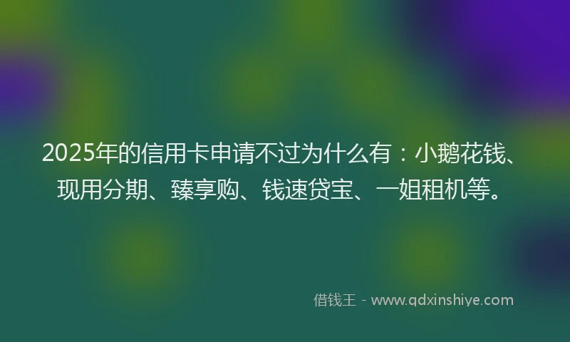 2025年的信用卡申请不过为什么有：小鹅花钱、现用分期、臻享购、钱速贷宝、一姐租机等。