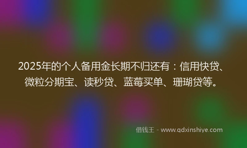 2025年的个人备用金长期不归还有：信用快贷、微粒分期宝、读秒贷、蓝莓买单、珊瑚贷等。