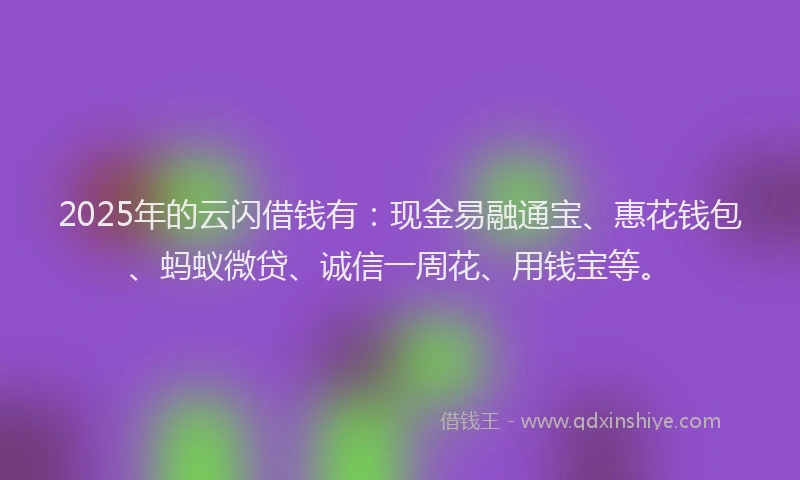 2025年的云闪借钱有：现金易融通宝、惠花钱包、蚂蚁微贷、诚信一周花、用钱宝等。
