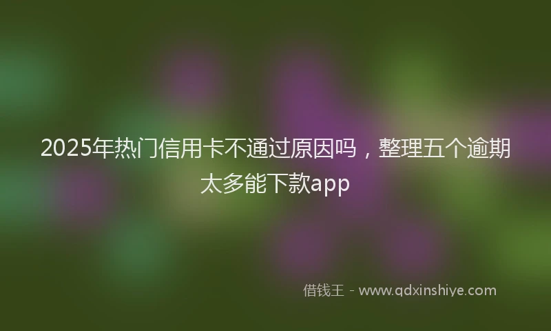 2025年热门信用卡不通过原因吗，整理五个逾期太多能下款app