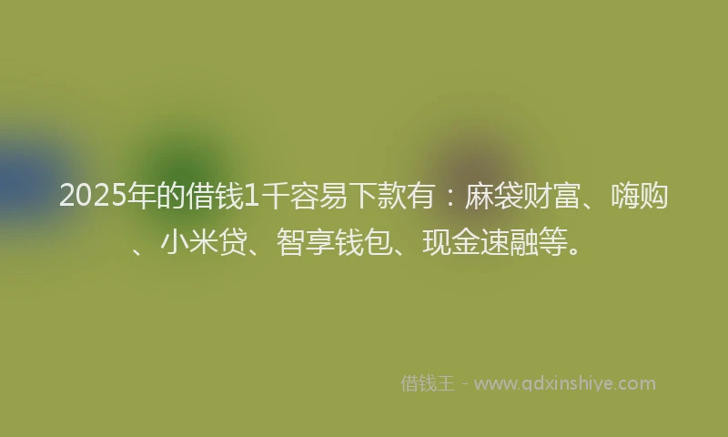 2025年的借钱1千容易下款有：麻袋财富、嗨购、小米贷、智享钱包、现金速融等。