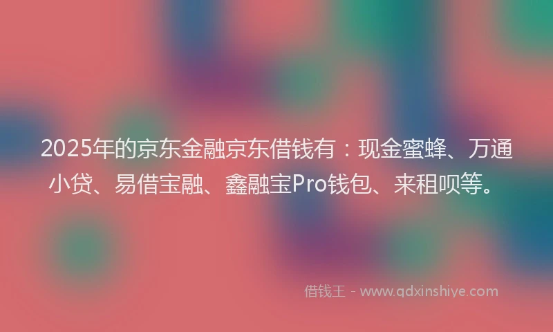2025年的京东金融京东借钱有：现金蜜蜂、万通小贷、易借宝融、鑫融宝Pro钱包、来租呗等。