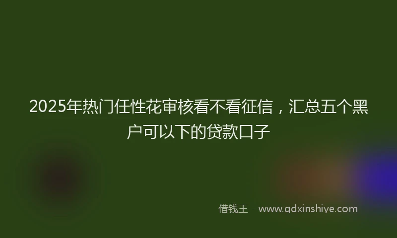 2025年热门任性花审核看不看征信，汇总五个黑户可以下的贷款口子