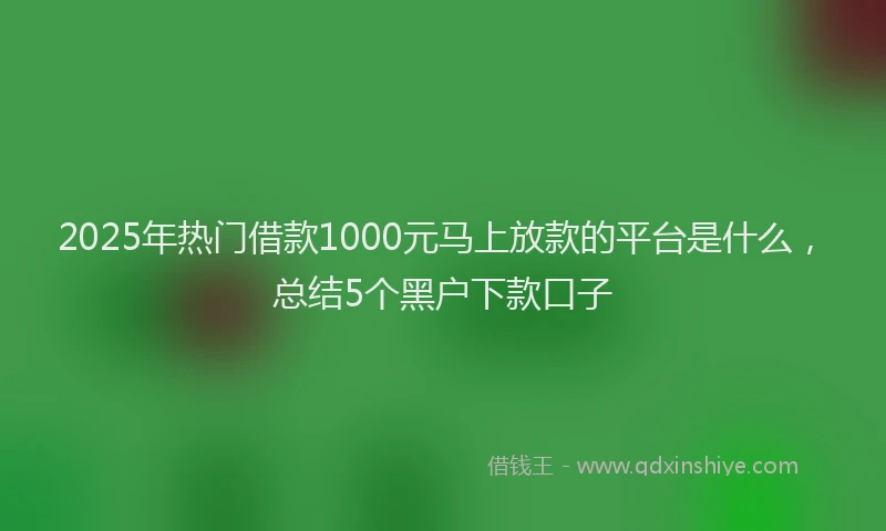 2025年热门借款1000元马上放款的平台是什么，总结5个黑户下款口子