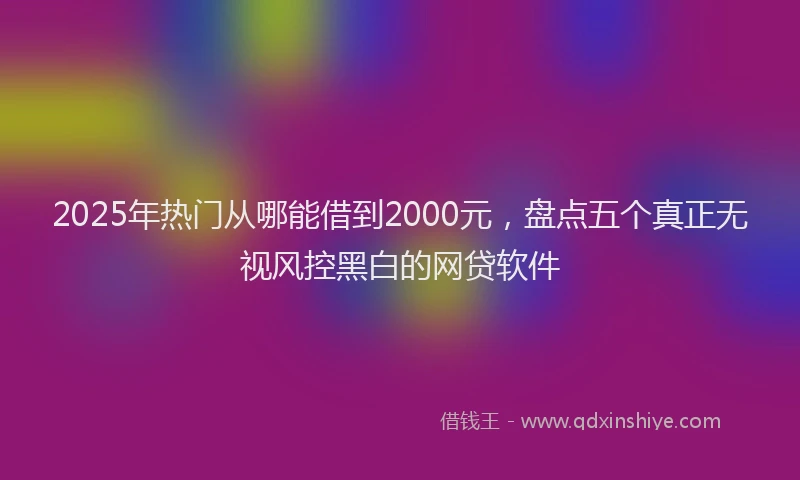 2025年热门从哪能借到2000元，盘点五个真正无视风控黑白的网贷软件