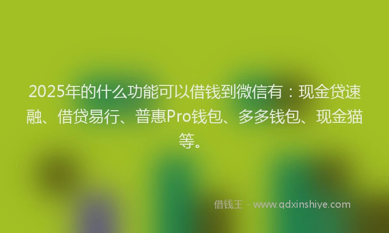 2025年的什么功能可以借钱到微信有：现金贷速融、借贷易行、普惠Pro钱包、多多钱包、现金猫等。