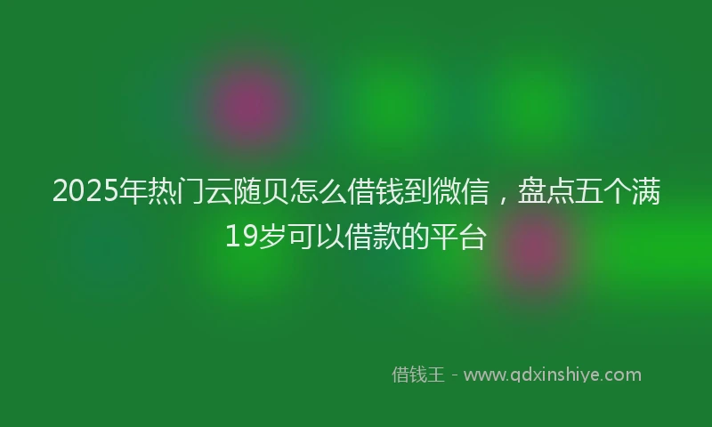 2025年热门云随贝怎么借钱到微信，盘点五个满19岁可以借款的平台