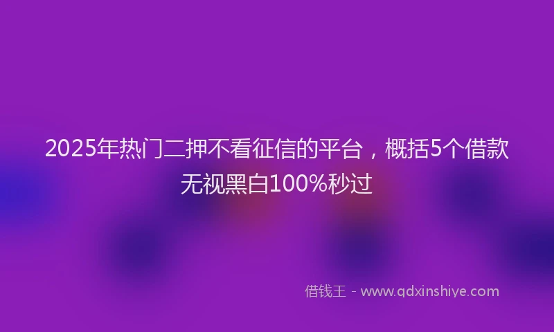 2025年热门二押不看征信的平台，概括5个借款无视黑白100%秒过