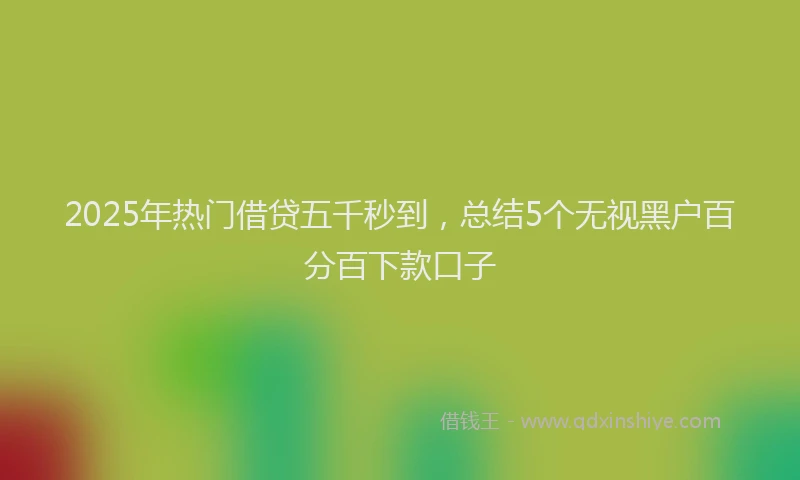 2025年热门借贷五千秒到，总结5个无视黑户百分百下款口子