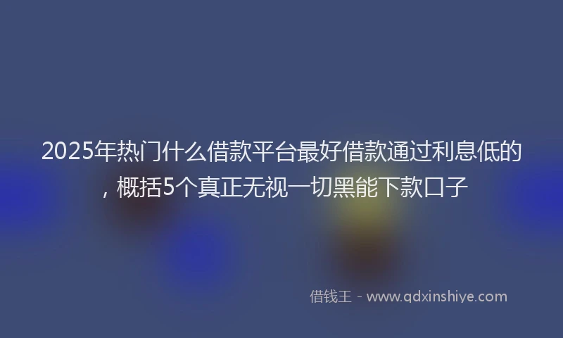 2025年热门什么借款平台最好借款通过利息低的，概括5个真正无视一切黑能下款口子