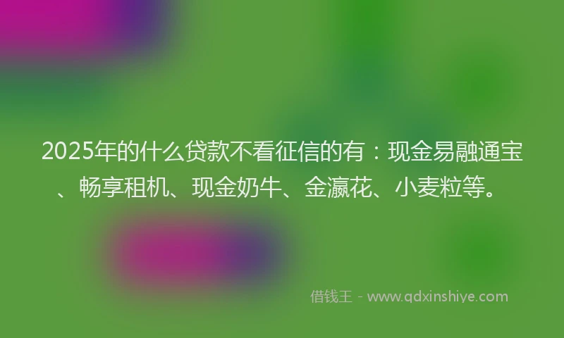 2025年的什么贷款不看征信的有：现金易融通宝、畅享租机、现金奶牛、金瀛花、小麦粒等。