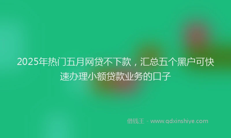 2025年热门五月网贷不下款，汇总五个黑户可快速办理小额贷款业务的口子