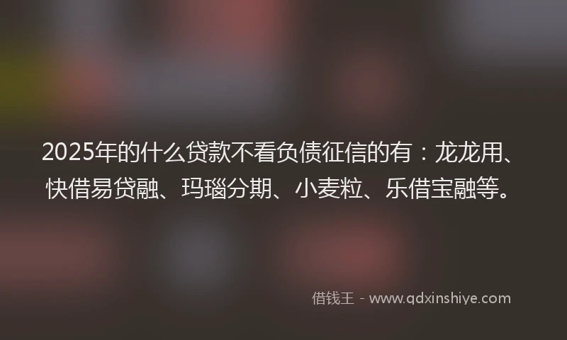 2025年的什么贷款不看负债征信的有：龙龙用、快借易贷融、玛瑙分期、小麦粒、乐借宝融等。
