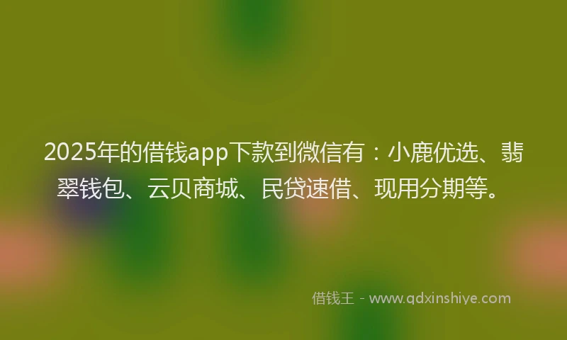 2025年的借钱app下款到微信有：小鹿优选、翡翠钱包、云贝商城、民贷速借、现用分期等。