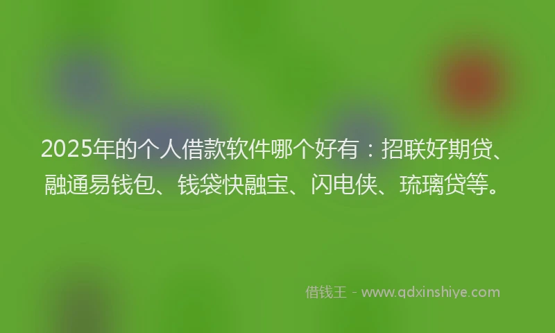 2025年的个人借款软件哪个好有：招联好期贷、融通易钱包、钱袋快融宝、闪电侠、琉璃贷等。