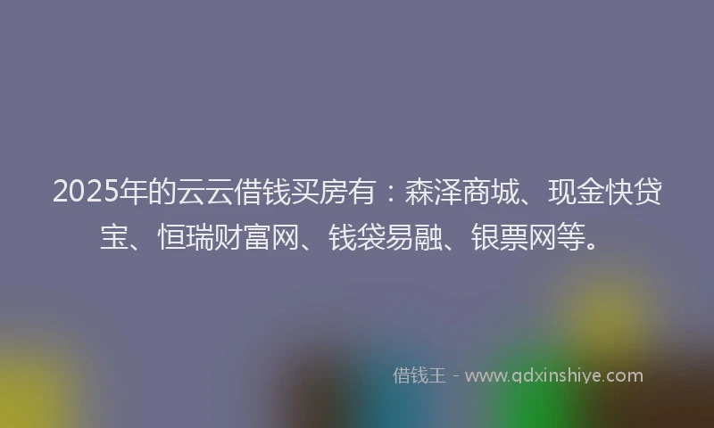 2025年的云云借钱买房有：森泽商城、现金快贷宝、恒瑞财富网、钱袋易融、银票网等。