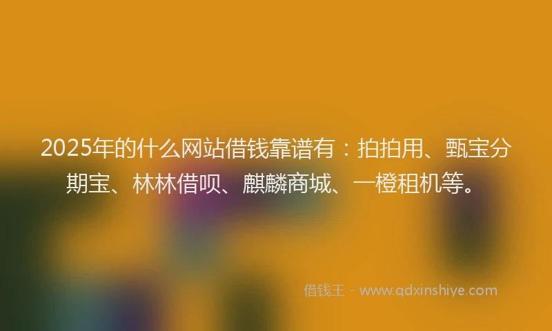 2025年的什么网站借钱靠谱有：拍拍用、甄宝分期宝、林林借呗、麒麟商城、一橙租机等。