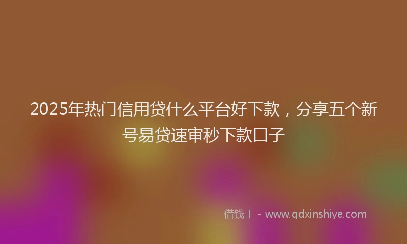 2025年热门信用贷什么平台好下款，分享五个新号易贷速审秒下款口子