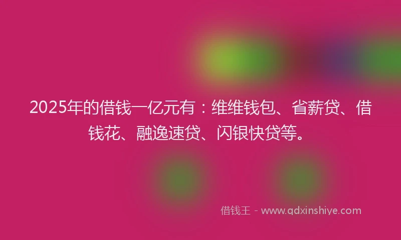 2025年的借钱一亿元有：维维钱包、省薪贷、借钱花、融逸速贷、闪银快贷等。