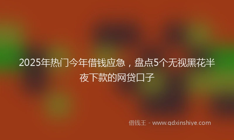 2025年热门今年借钱应急，盘点5个无视黑花半夜下款的网贷口子