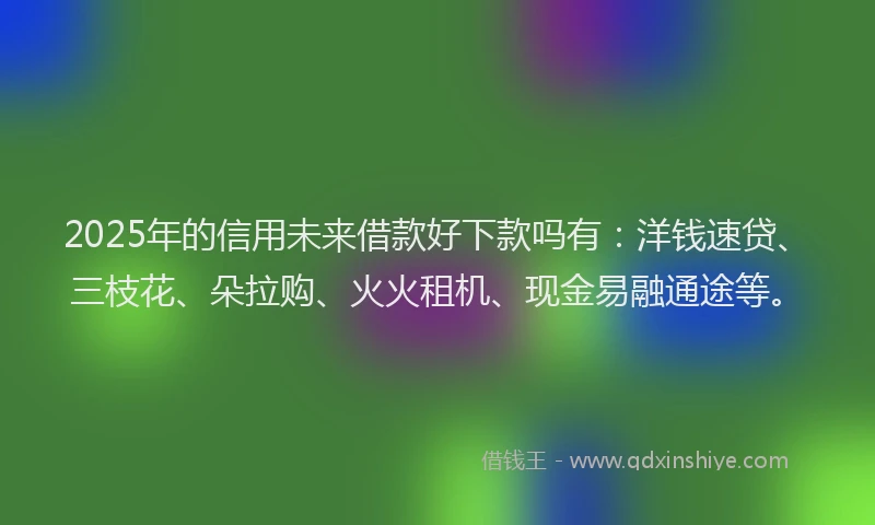 2025年的信用未来借款好下款吗有：洋钱速贷、三枝花、朵拉购、火火租机、现金易融通途等。