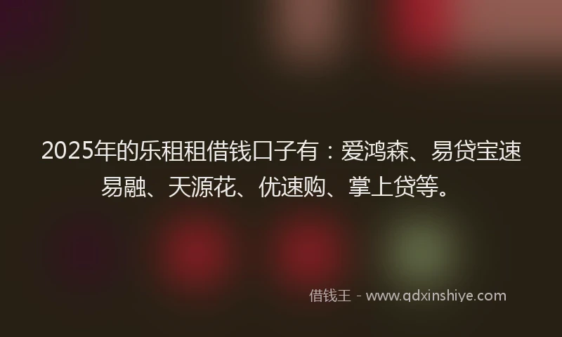 2025年的乐租租借钱口子有：爱鸿森、易贷宝速易融、天源花、优速购、掌上贷等。
