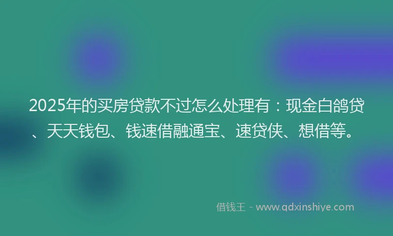 2025年的买房贷款不过怎么处理有：现金白鸽贷、天天钱包、钱速借融通宝、速贷侠、想借等。