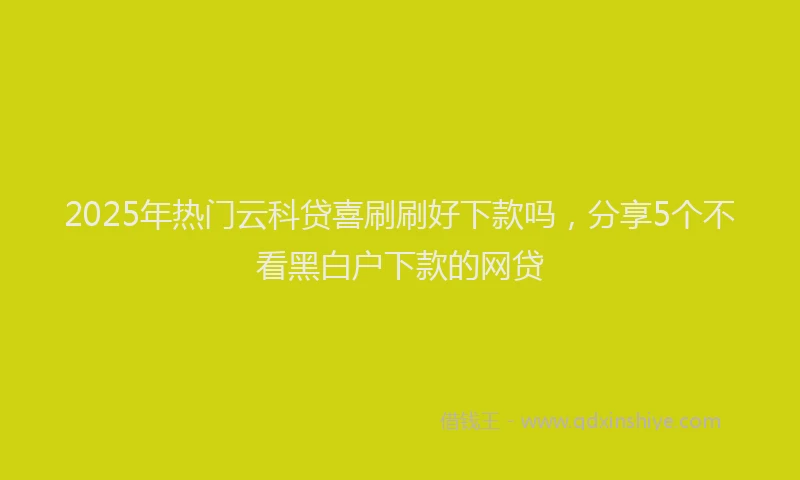 2025年热门云科贷喜刷刷好下款吗，分享5个不看黑白户下款的网贷