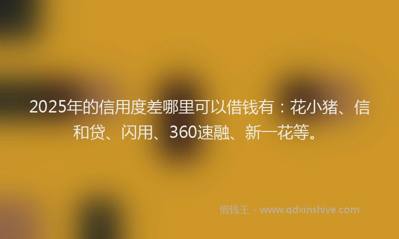 2025年的信用度差哪里可以借钱有：花小猪、信和贷、闪用、360速融、新一花等。