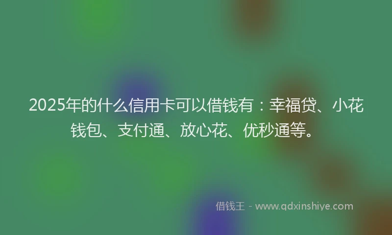 2025年的什么信用卡可以借钱有：幸福贷、小花钱包、支付通、放心花、优秒通等。