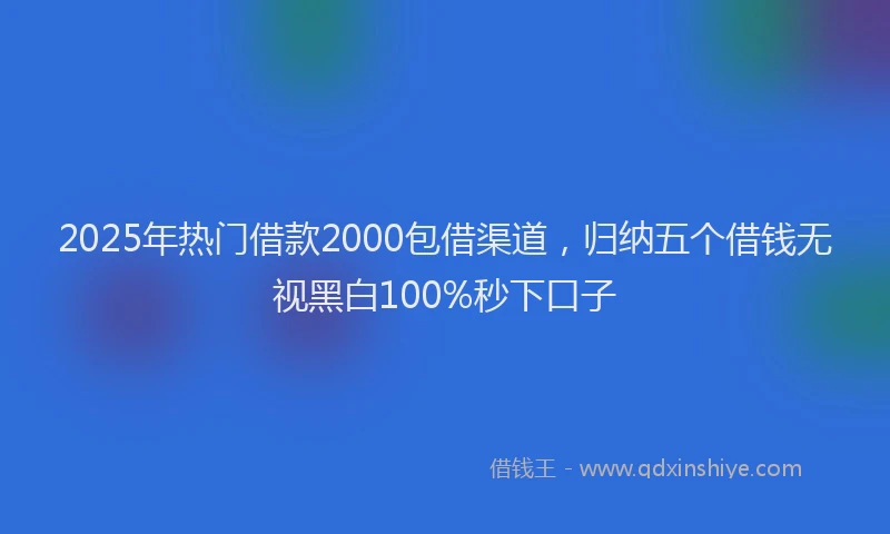 2025年热门借款2000包借渠道，归纳五个借钱无视黑白100%秒下口子