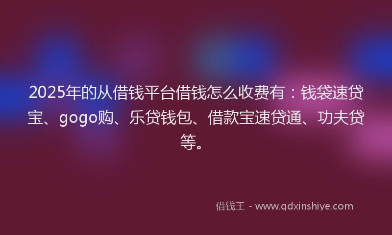 2025年的从借钱平台借钱怎么收费有：钱袋速贷宝、gogo购、乐贷钱包、借款宝速贷通、功夫贷等。