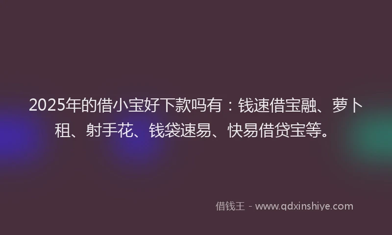 2025年的借小宝好下款吗有：钱速借宝融、萝卜租、射手花、钱袋速易、快易借贷宝等。