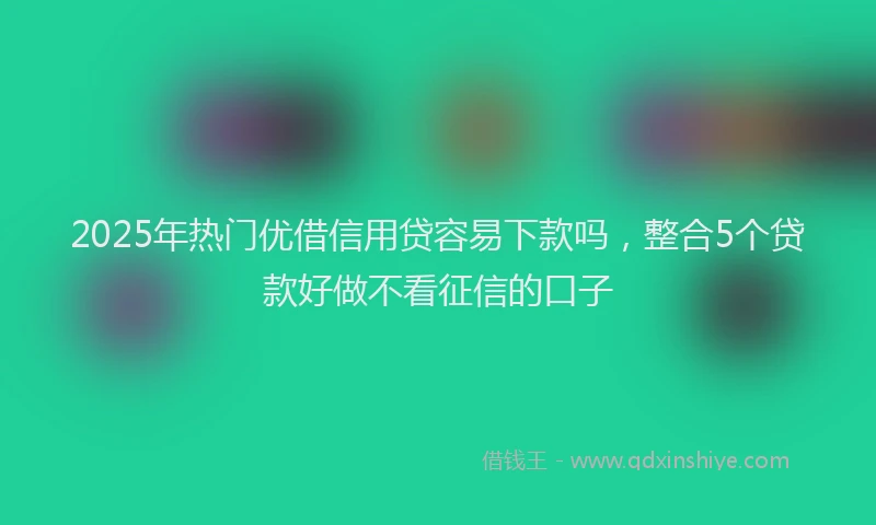 2025年热门优借信用贷容易下款吗，整合5个贷款好做不看征信的口子