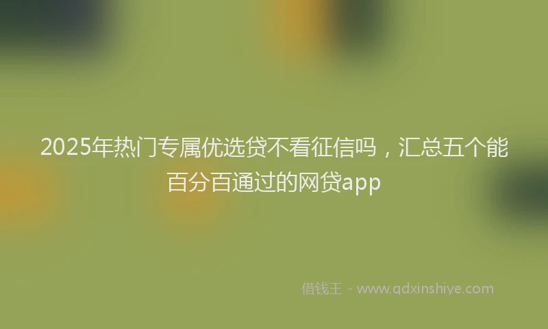 2025年热门专属优选贷不看征信吗，汇总五个能百分百通过的网贷app