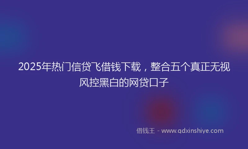 2025年热门信贷飞借钱下载，整合五个真正无视风控黑白的网贷口子