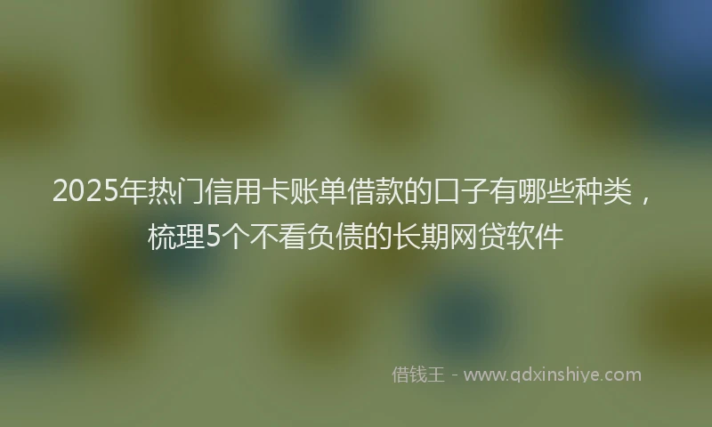 2025年热门信用卡账单借款的口子有哪些种类，梳理5个不看负债的长期网贷软件