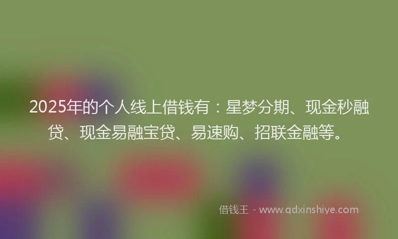 2025年的个人线上借钱有：星梦分期、现金秒融贷、现金易融宝贷、易速购、招联金融等。