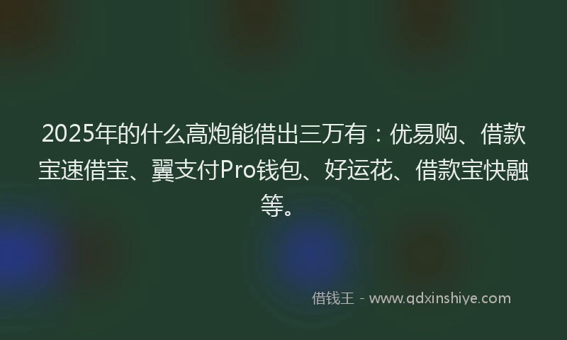 2025年的什么高炮能借出三万有：优易购、借款宝速借宝、翼支付Pro钱包、好运花、借款宝快融等。