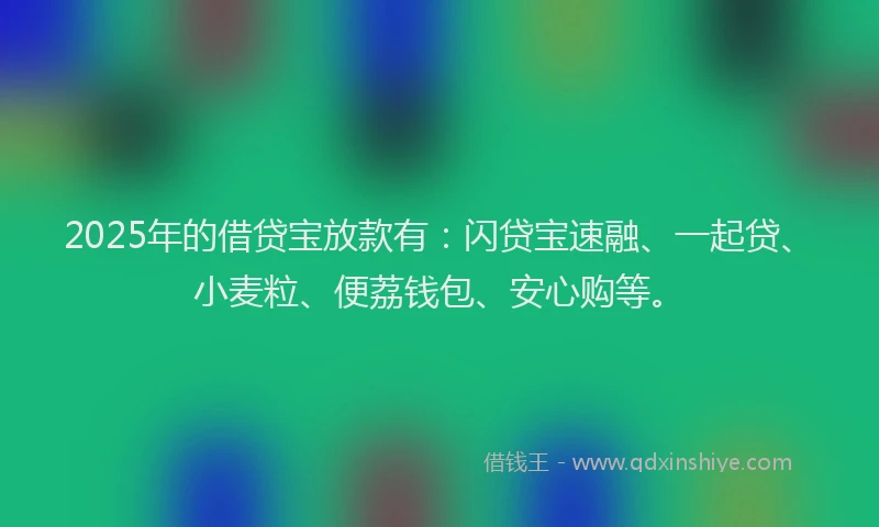 2025年的借贷宝放款有：闪贷宝速融、一起贷、小麦粒、便荔钱包、安心购等。