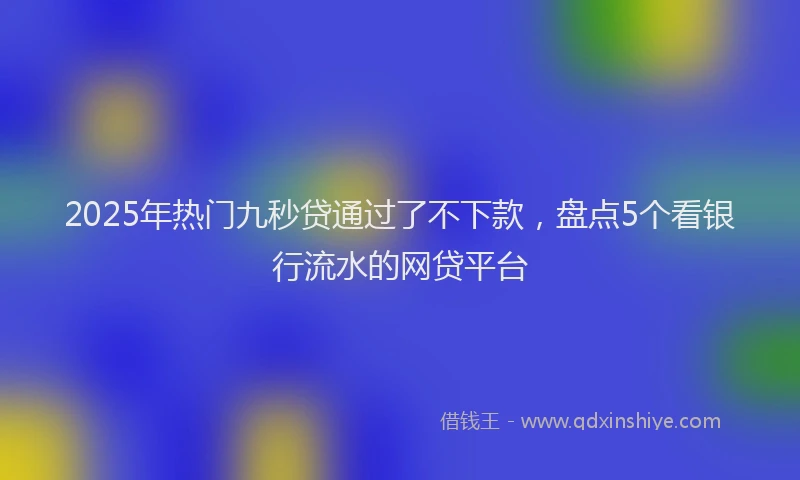 2025年热门九秒贷通过了不下款，盘点5个看银行流水的网贷平台