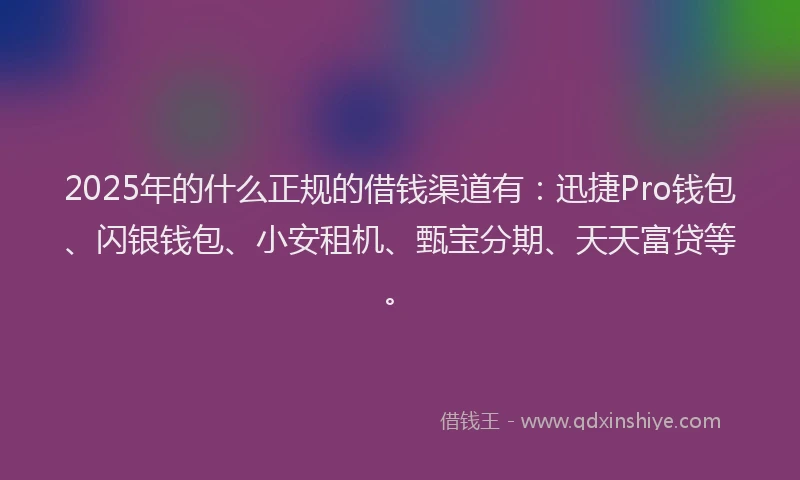 2025年的什么正规的借钱渠道有：迅捷Pro钱包、闪银钱包、小安租机、甄宝分期、天天富贷等。