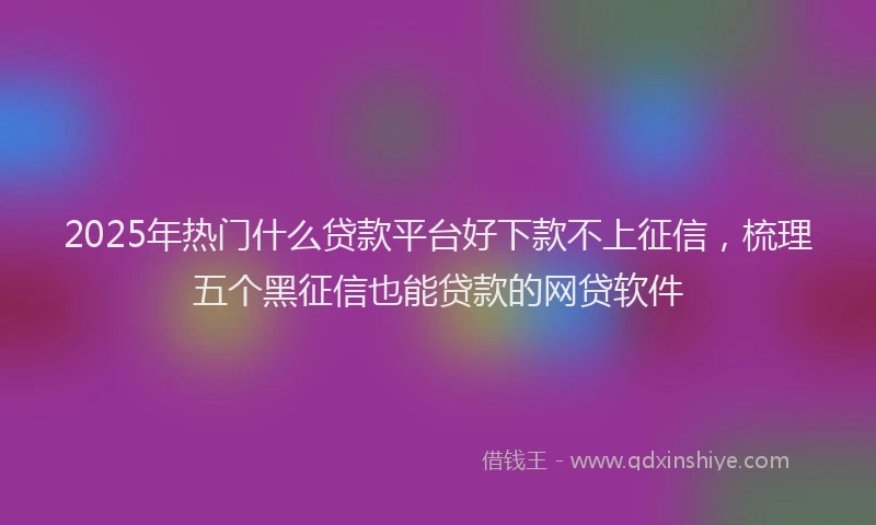 2025年热门什么贷款平台好下款不上征信,梳理五个黑征信也能贷款的网贷软件
